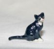 Picture of Cat